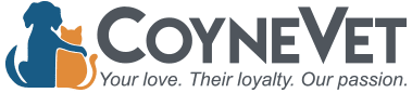 coyne logo
