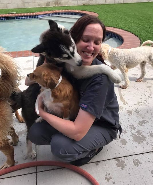 staff member holding dogs by pool