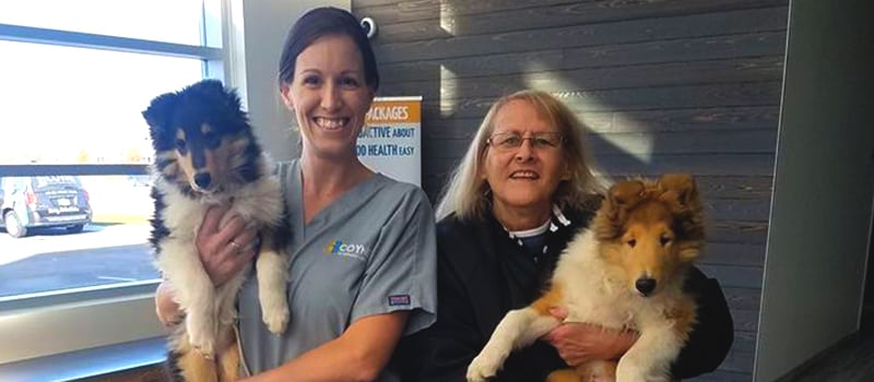 a pet owner and a vet team members each holding a dog and smiling in the lobby at coyne