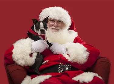 Horizontal composition isolated on red of the real santa holding a dog