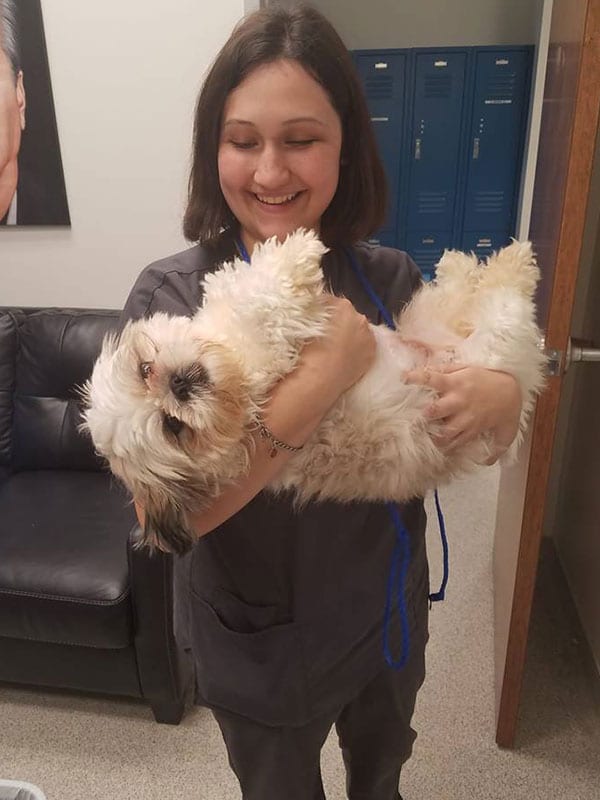 veterinary staff member holding dog in her arms