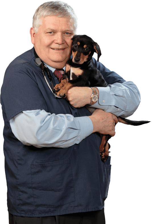 Veterinarian in Crown Point, IN | Animal Hospital in Crown Point