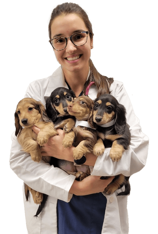 doctor-holding-puppies (4)