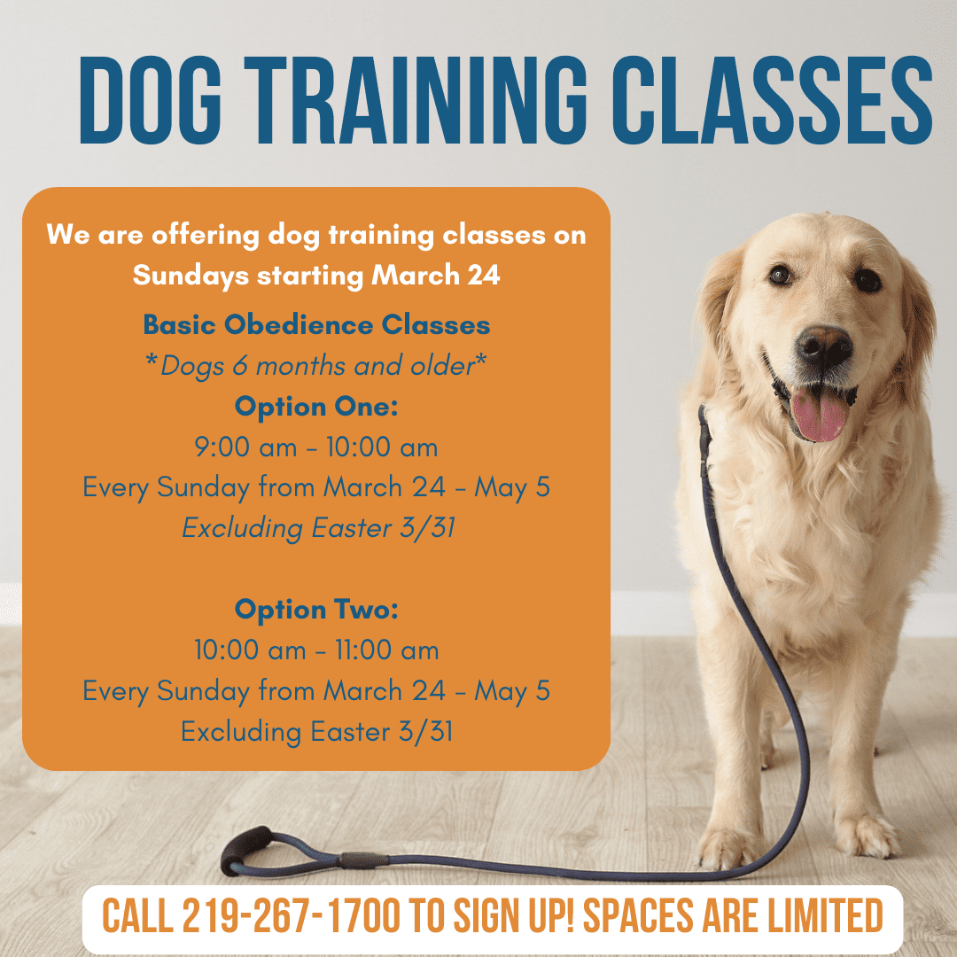 dog training schedule March 2024