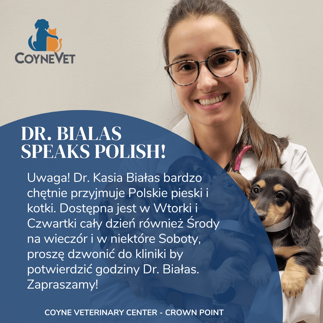 Dr. Bialas Polish