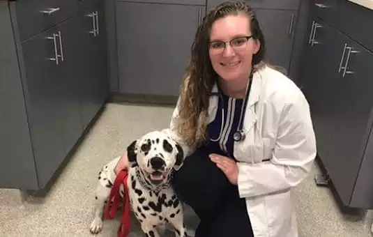 dr bazarnik kneeling down next to a dalmatian at the animal hospital