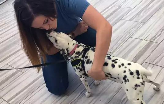 veterinarian kissing dog