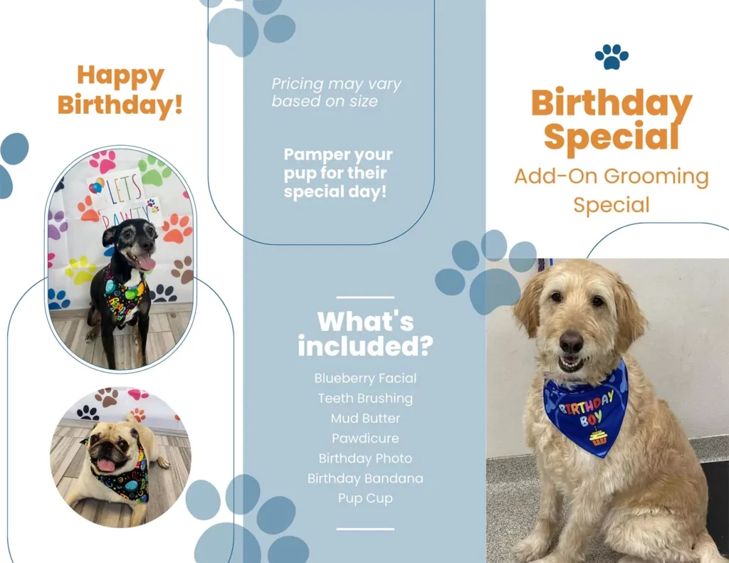 Dog Grooming birthday special