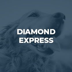 diamond-express-2